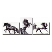 Obrazový set - Divocí koně
