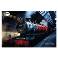 Plakát, Obraz - Harry Potter - Bradavický expres, (91.5 x 61 cm)