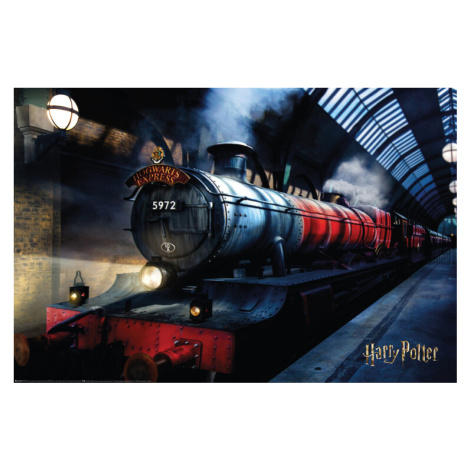 Plakát, Obraz - Harry Potter - Bradavický expres, 91.5x61 cm