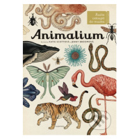 Animalium - Jenny Broom (ilustrátor), Katie Scott (ilustrátor) - kniha z kategorie Naučné knihy