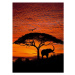 Komar 4-501 Fototapeta African Sunset 194 x 270 cm