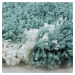 Ayyildiz koberce Kusový koberec Alvor Shaggy 3401 blue - 160x230 cm