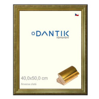 DANTIK rámeček 40 × 50, ANIVERSA zlatý sklo čiré