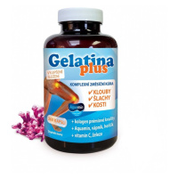 Gelatina Plus cps.360