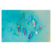 Fotografie Boats in the crystal sea from, Roberto Moiola / Sysaworld, 40 × 26.7 cm