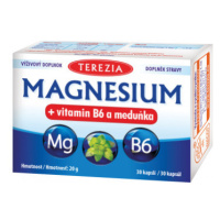 TEREZIA Magnesium+vitamin B6 a meduňka cps.30