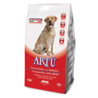 Artú ARTÚ Croquettes Beef 4kg hovězí krmivo pro psy