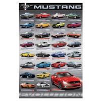 Plakát, Obraz - Ford Mustang Evolution, 61 × 91.5 cm