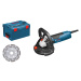 Bosch GBR 15 CAG Professional 0.601.776.001