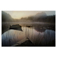 Umělecká fotografie In the misty morning, Willy	Marthinussen, (40 x 26.7 cm)