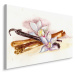 MyBestHome BOX Plátno Vanilkové Tyčinky S Květinami Varianta: 30x20