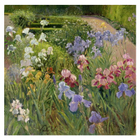 Obrazová reprodukce Irises at Bedfield, Timothy Easton, 40 × 40 cm