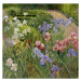 Obrazová reprodukce Irises at Bedfield, Timothy Easton, 40 × 40 cm