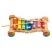 Lucy & Leo 245 Duhový xylofon - hudební nástroj