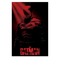 DC Comics The Batman: Crepuscular Rays