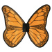 Guirca Křídla Motýla