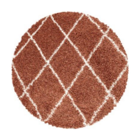 Ayyildiz koberce Kusový koberec Alvor Shaggy 3401 terra kruh Rozměry koberců: 160x160 (průměr) k