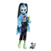 Mattel Monster High Creepover párty panenka - Frankie