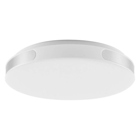 Rabalux Rabalux 71085 - LED Stropní svítidlo DANUTA LED/24W/230V 4000K pr. 39 cm