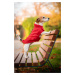 Vsepropejska Snowy zimní bunda „My friend“ pro psa Barva: Červená, Délka zad (cm): 48, Obvod hru