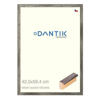 DANTIK rámeček 42 × 59,4, Metalli oidati AGsvětlý plexi čiré