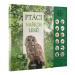 Zvuková knížka Ptáci našich lesů na baterie 22,5x21cm CZ text