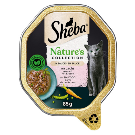 Sheba Nature's Collection v omáčce 44 x 85 g - s lososem