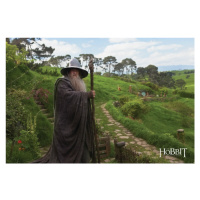 Umělecký tisk Hobbit - Gandalf, 40 × 26.7 cm