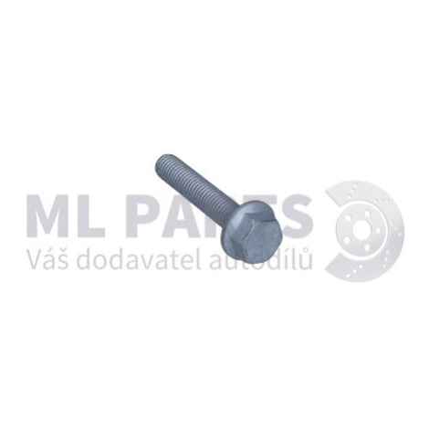 Šroub M10x55 ŠKODA OEM Originál N10706901