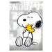 TipTrade Bavlněné povlečení 140x200 + 70x90 cm - Snoopy a Woodstock
