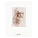 Obrazová reprodukce Self Portrait (L'Autoritratto di Leonardo da Vinci) - Leonardo da Vinci, (30