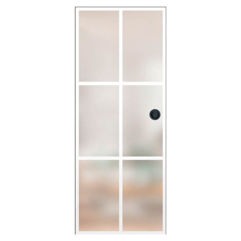 Posuvné skleněné dveře do pouzdra Graf 64 ERKADO