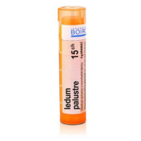 BOIRON Ledum Palustre CH15 4 g