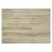 Vinylová podlaha Moduleo Roots 55 - Blackjack Oak 22229 - lepená 196x1320 mm