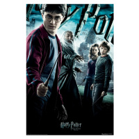 Plakát, Obraz - Harry Potter - Princ dvojí krve, 61x91.5 cm