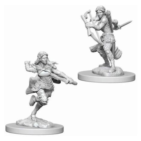 Dungeons and Dragons – Nolzur's Marvelous Miniatures: Air Genasi Female Rogue
