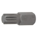 BGS technic Bit RIBE - profil 10mm (různé velikosti) - BGS Velikost: 11x30 mm