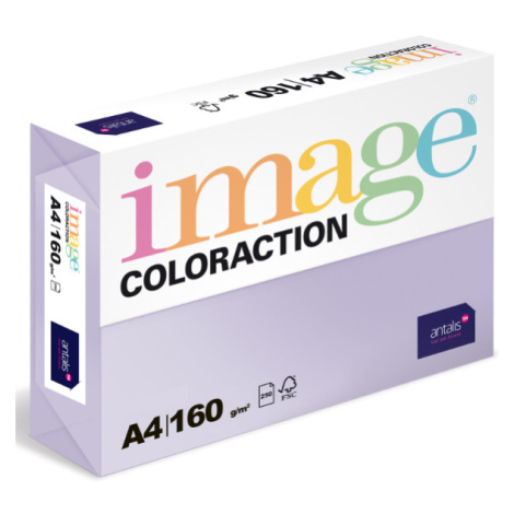 Coloraction A4 80 g 500 ks - Tundra/pastelově fialová