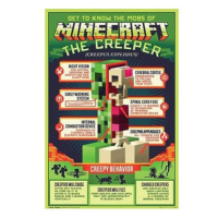 Minecraft Creepy Behaviour