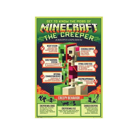 Minecraft Creepy Behaviour GB Eye