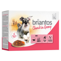 Briantos Chunks in Gravy 48 x 100 g - výhodné balení - hovězí s mrkví