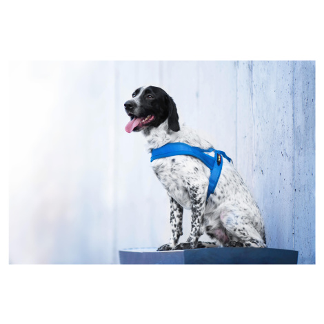 Vsepropejska Kelly pet postroj pro psa | 51 – 72 cm Barva: Modrá, Obvod hrudníku: 61 - 72 cm
