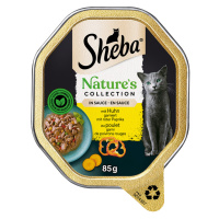 Sheba Nature's Collection v omáčce 44 x 85 g - s kuřecím