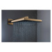 Hansgrohe 24331140 - Hlavová sprcha, 26x26 cm, EcoSmart, kartáčovaný bronz