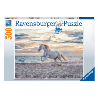 RAVENSBURGER Cval 500 dílků