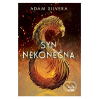 Syn nekonečna - Adam Silvera - kniha z kategorie Beletrie pro děti