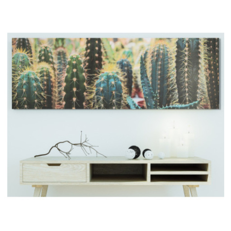 Obraz na plátně Kaktusy, 150x50 cm Asko