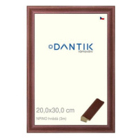 DANTIK rámeček 20 × 30, NPINO hnědý sklo čiré