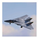 E-flite F-14 Tomcat 0.76m BNF Basic