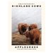 Fotografie Highland Cows (Applecross, The Scottish Highlands), 30 × 40 cm